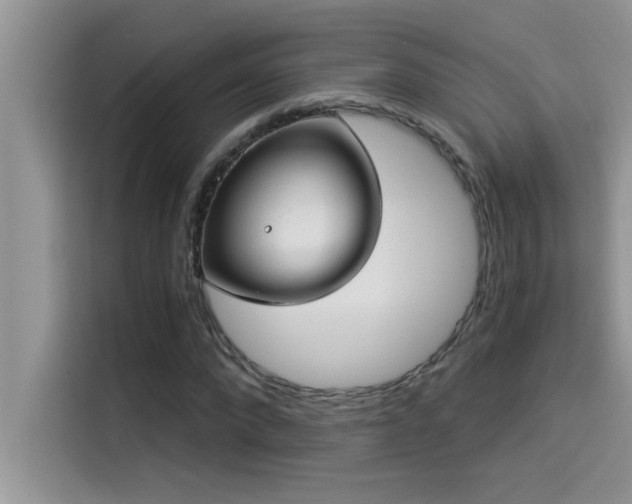 X0000114550872200910191409