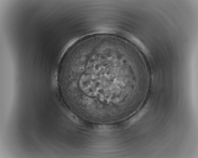 X0000114550875200910191409