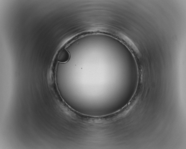X0000114550876200910191409
