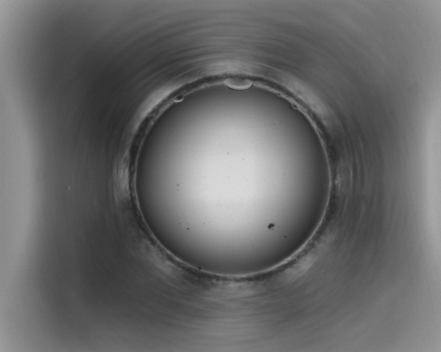 X0000114550877200910191409