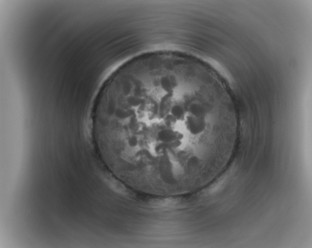 X0000114550879200910191409