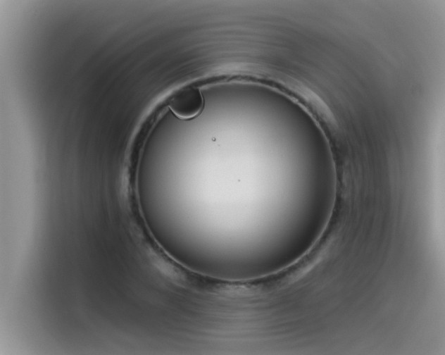 X0000114550880200910191409