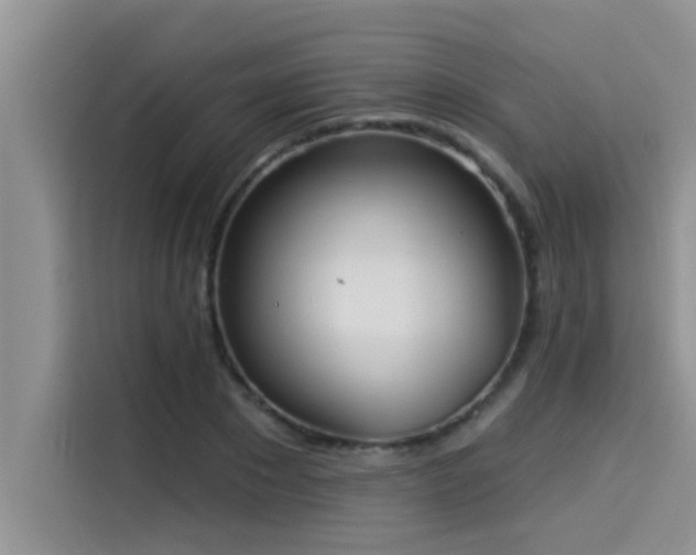 X0000114550881200910191409