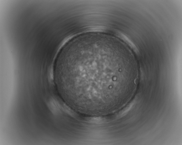 X0000114550883200910191409