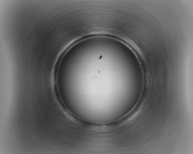X0000114550885200910191409