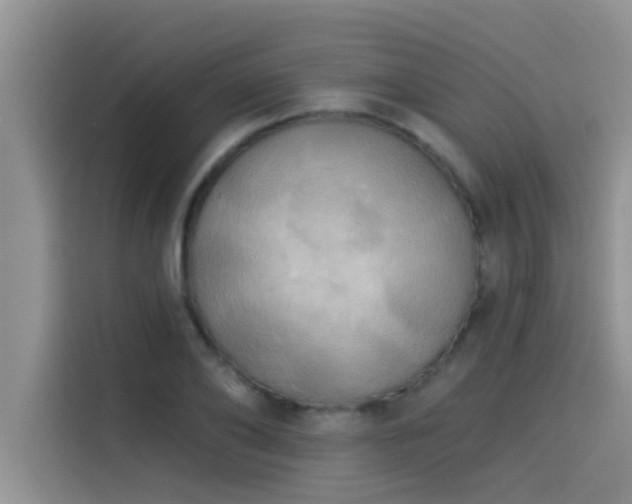 X0000114550886200910191409