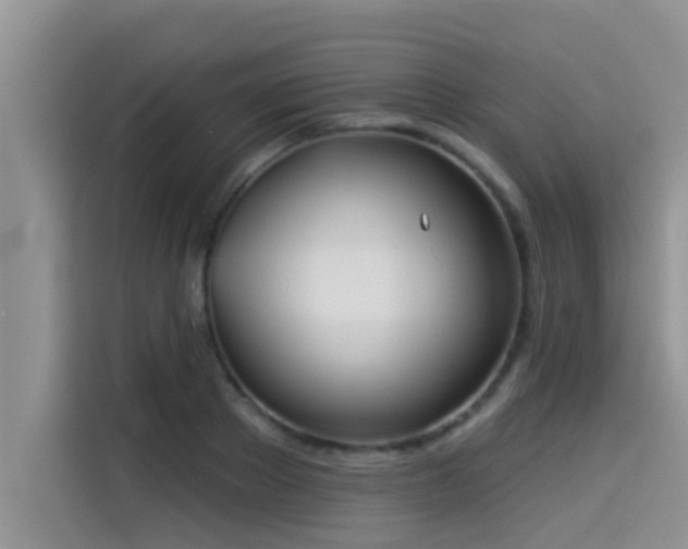 X0000114550889200910191409