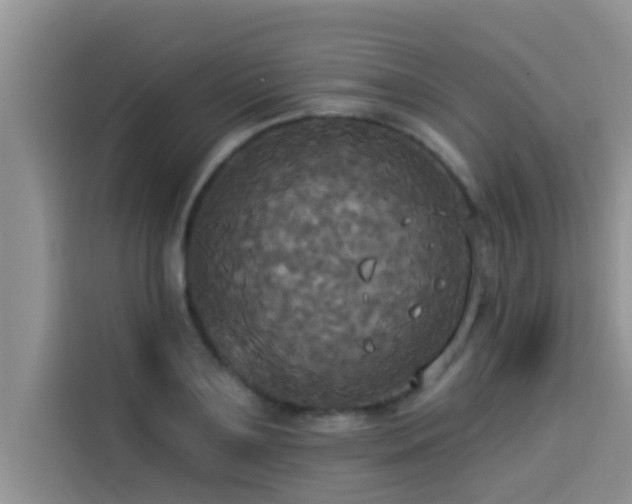 X0000114550891200910191409