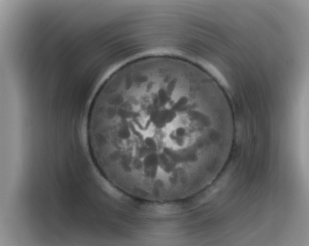 X0000114550895200910191409
