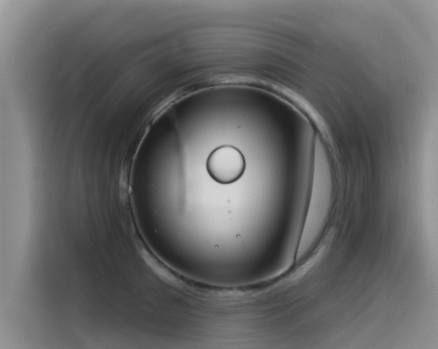 X0000114550897200910191409