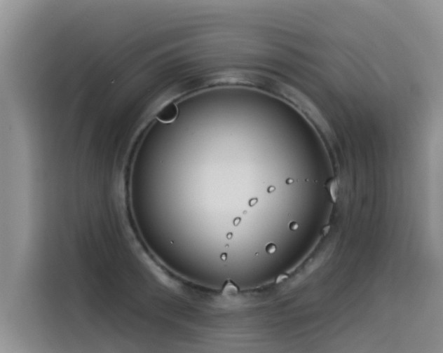 X0000114550898200910191409