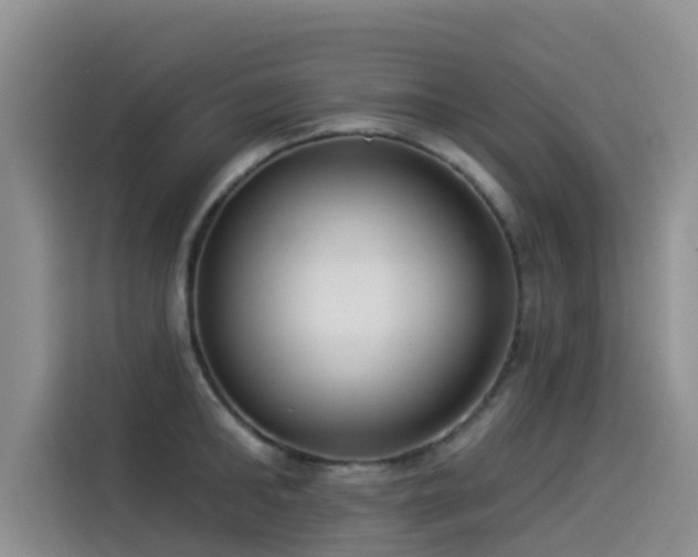 X0000114550902200910191409