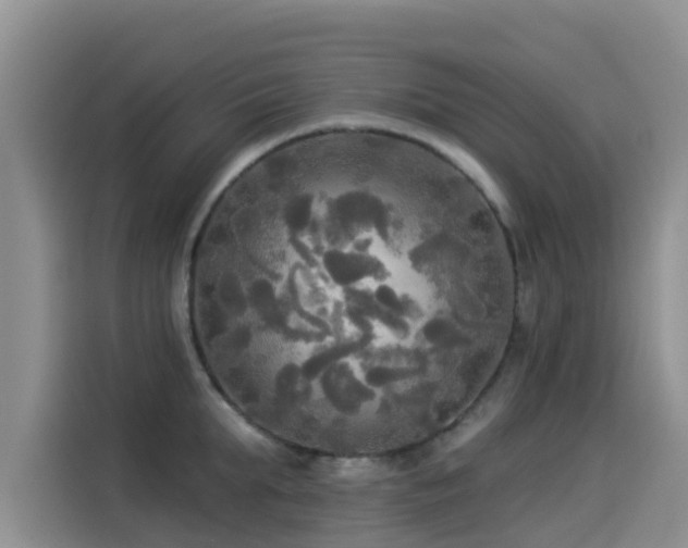 X0000114550903200910191409