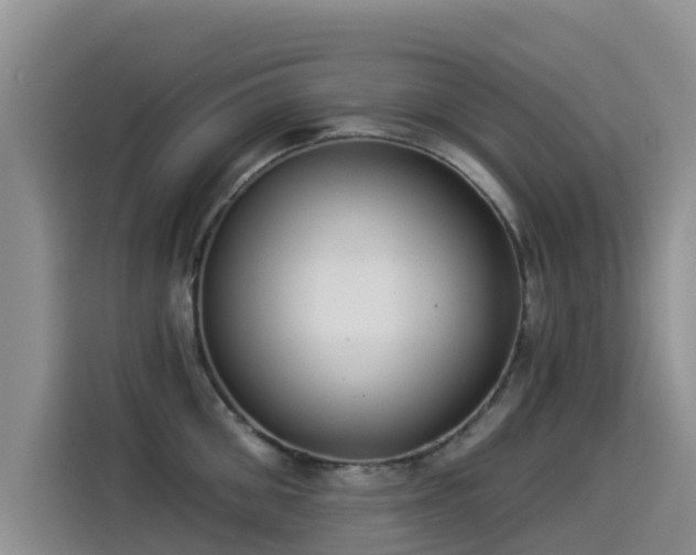 X0000114550906200910191409