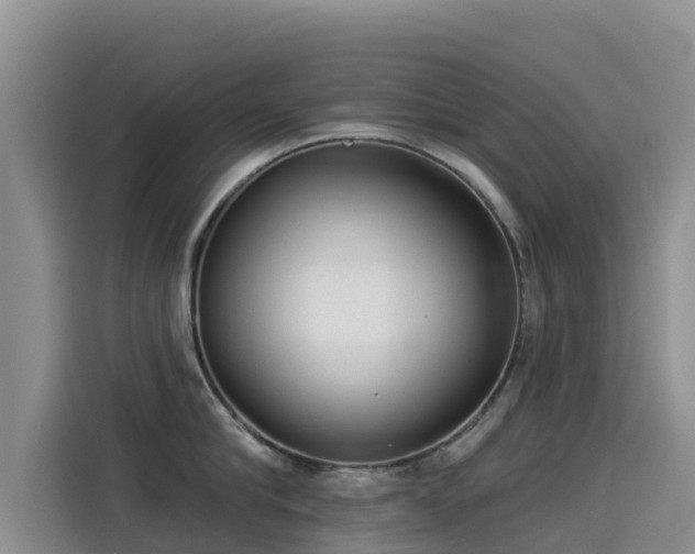 X0000114550910200910191409