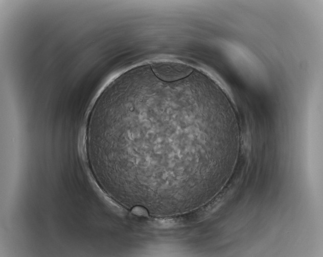 X0000114550911200910191409