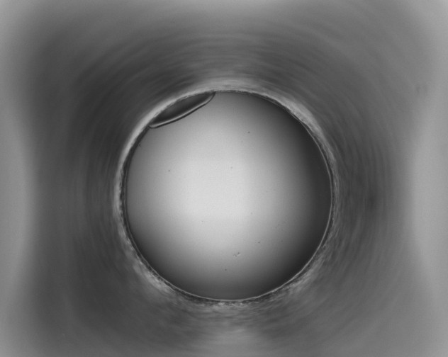 X0000114550912200910191409