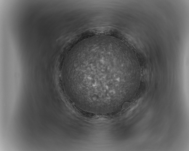 X0000114550913200910191408
