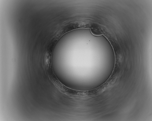 X0000114550914200910191408