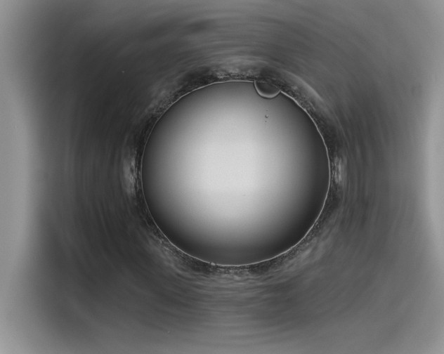 X0000114550915200910191408