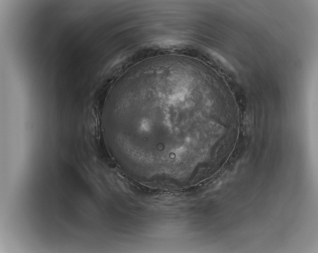 X0000114550917200910191408