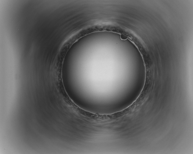 X0000114550919200910191408