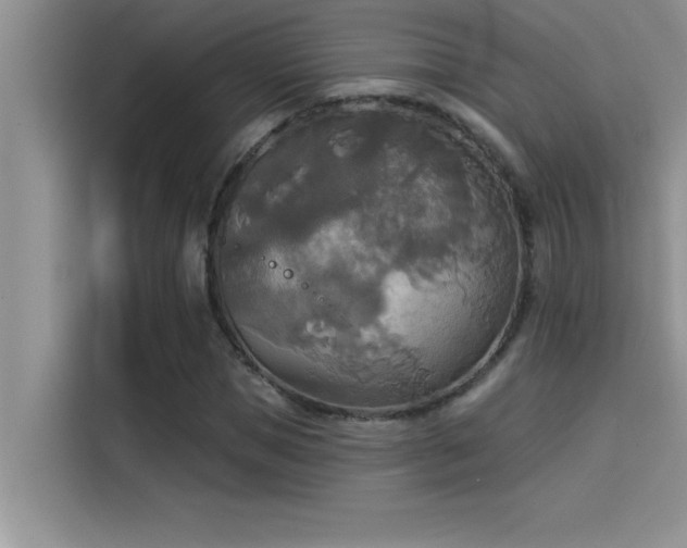 X0000114550921200910191408