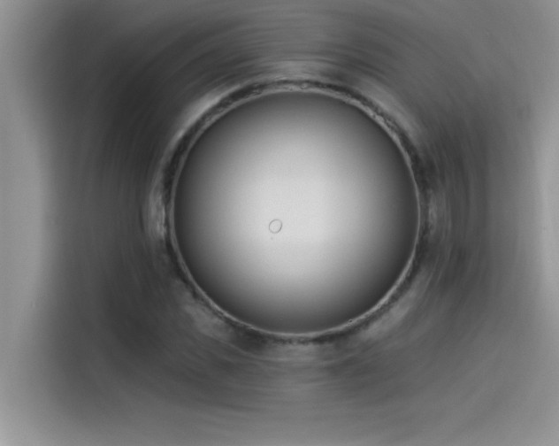 X0000114550925200910191408