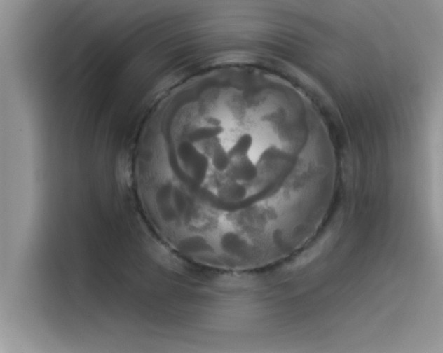 X0000114550929200910191408