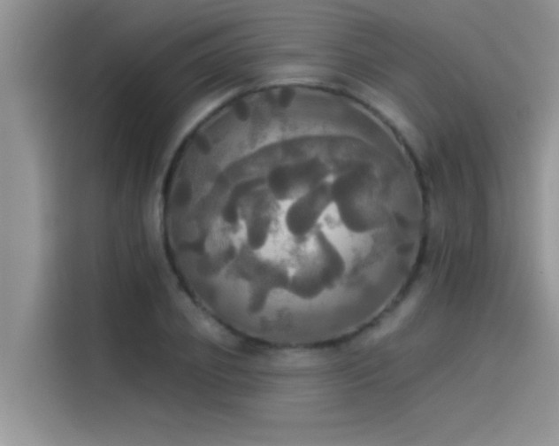 X0000114550933200910191408