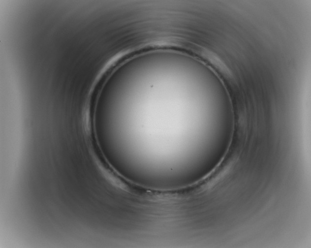 X0000114550934200910191408