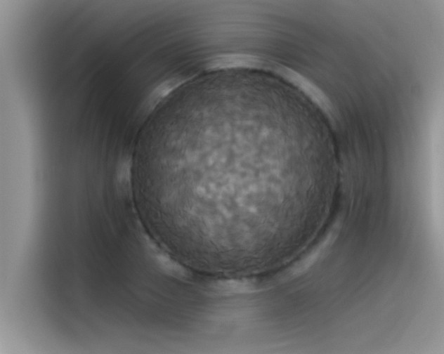 X0000114550937200910191408