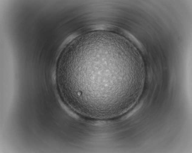 X0000114550938200910191408