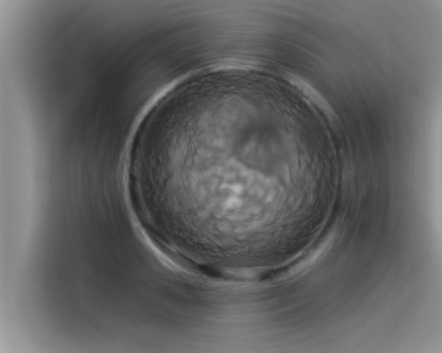X0000114550941200910191408