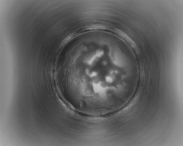 X0000114550945200910191408