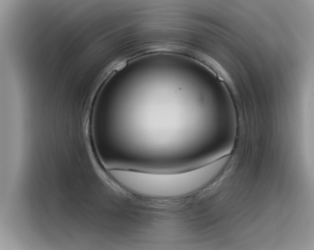 X0000114550946200910191408