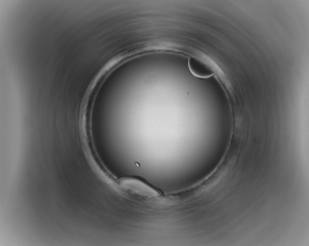 X0000114550947200910191408