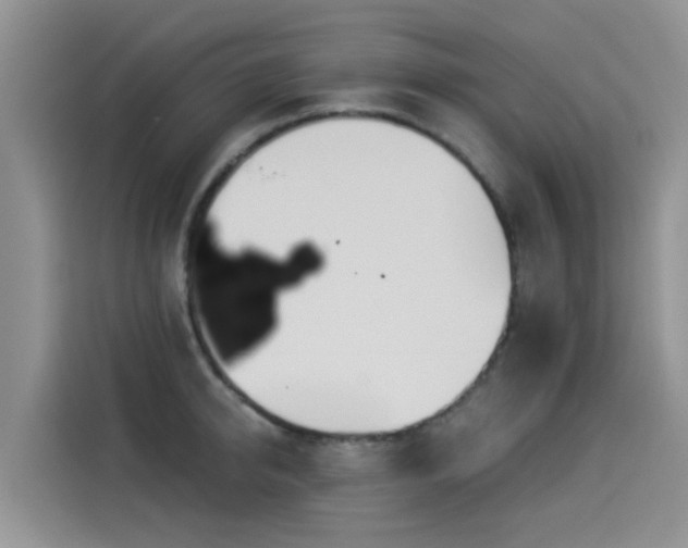X0000114550950200910191408