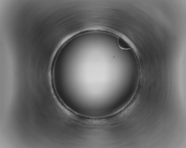 X0000114550951200910191408