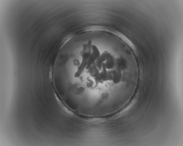 X0000114550953200910191408