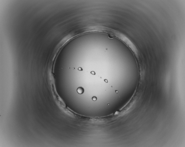 X0000114550954200910191408