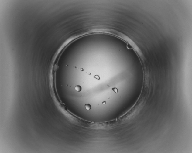X0000114550955200910191408