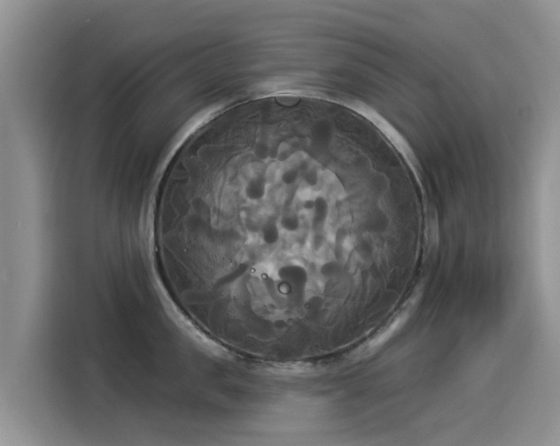 X0000114550957200910191408