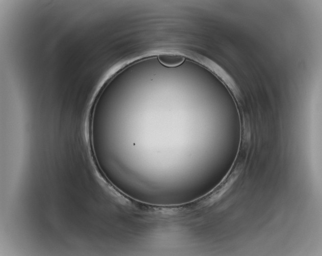 X0000114550958200910191408