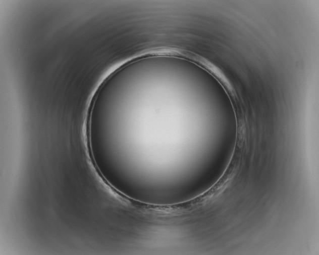 X0000114550959200910191408
