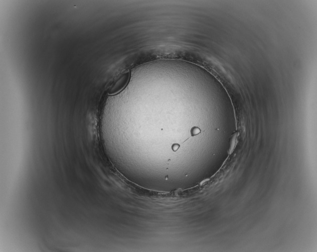 X0000114550964200910191408