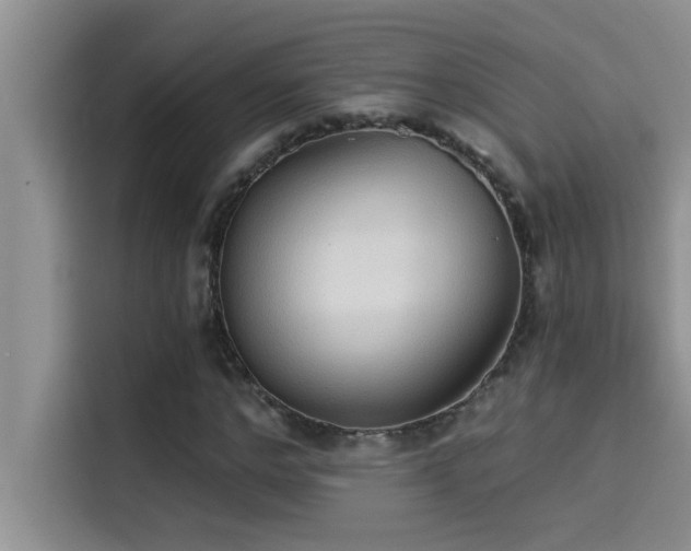 X0000114550968200910191408