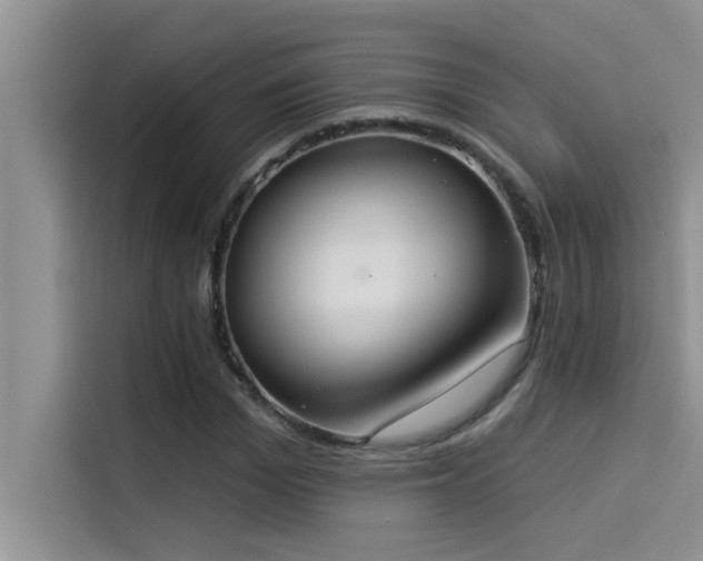 X0000114550969200910191408