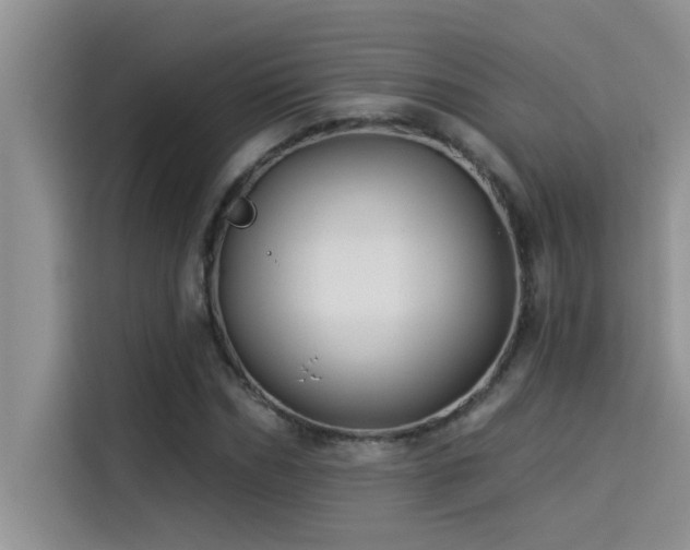 X0000114550970200910191408