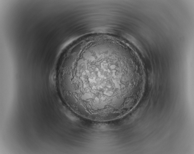 X0000114550971200910191408